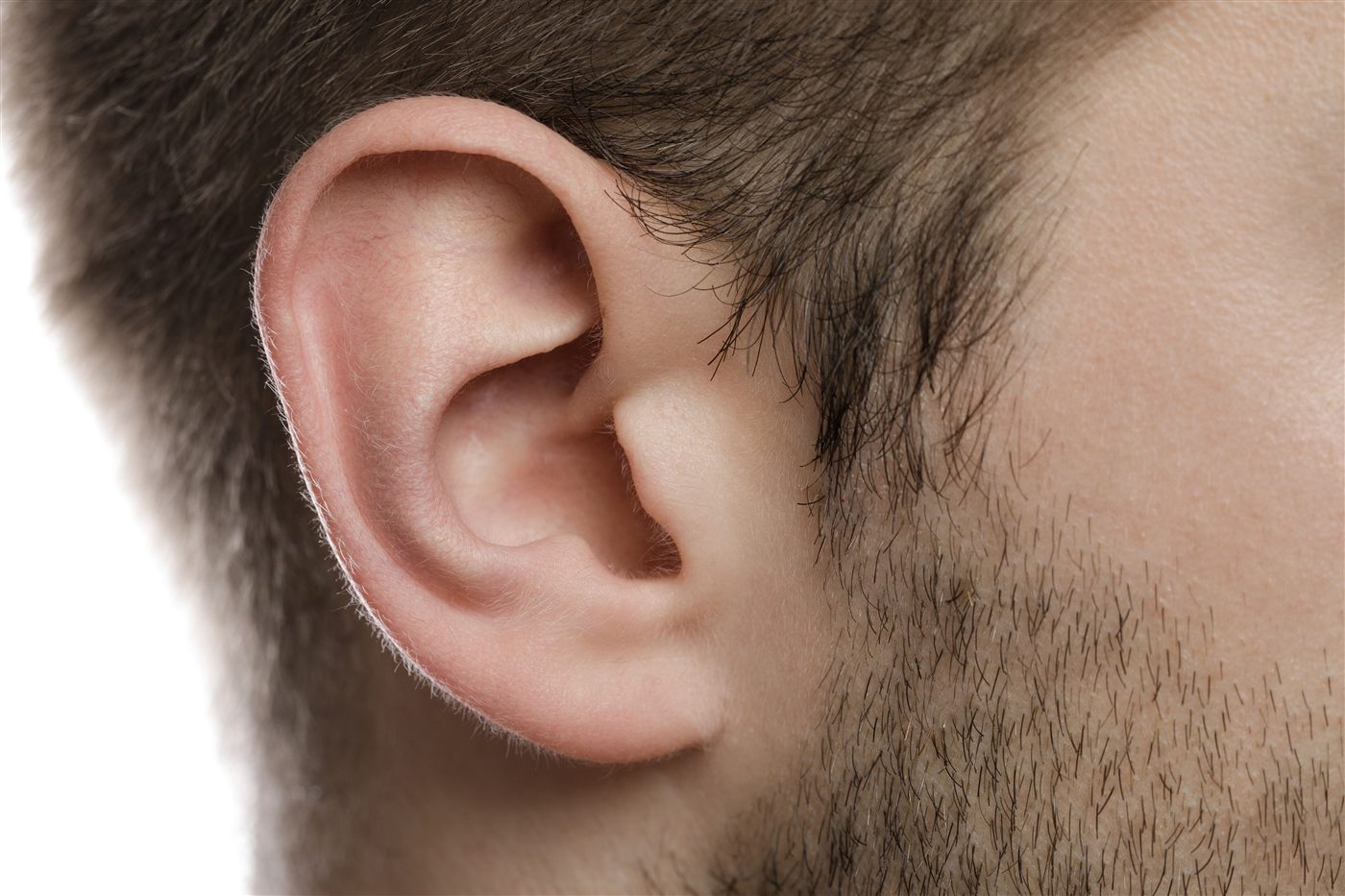 Close-up of the ear for otoplasty planning